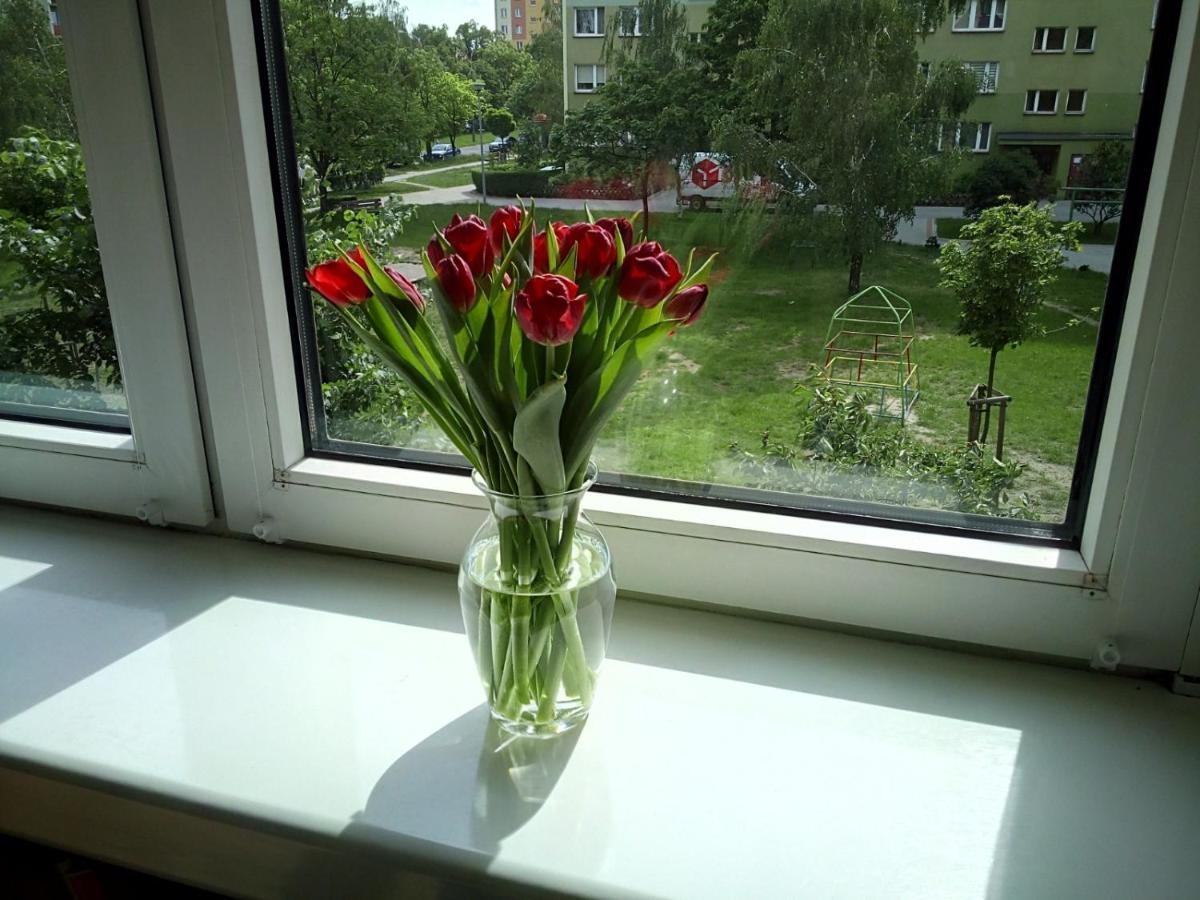 Apartament Usmiech Płock Buitenkant foto