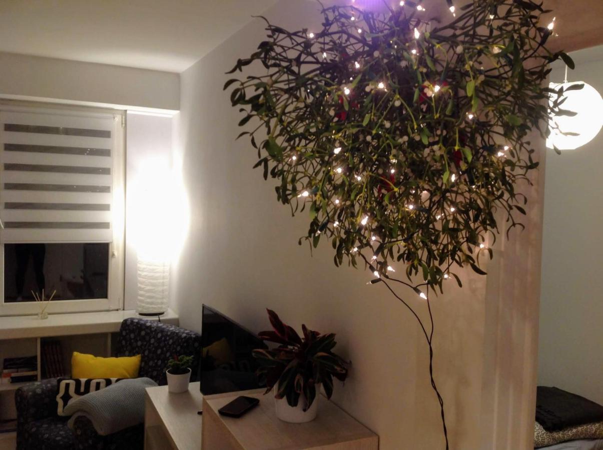 Apartament Usmiech Płock Buitenkant foto